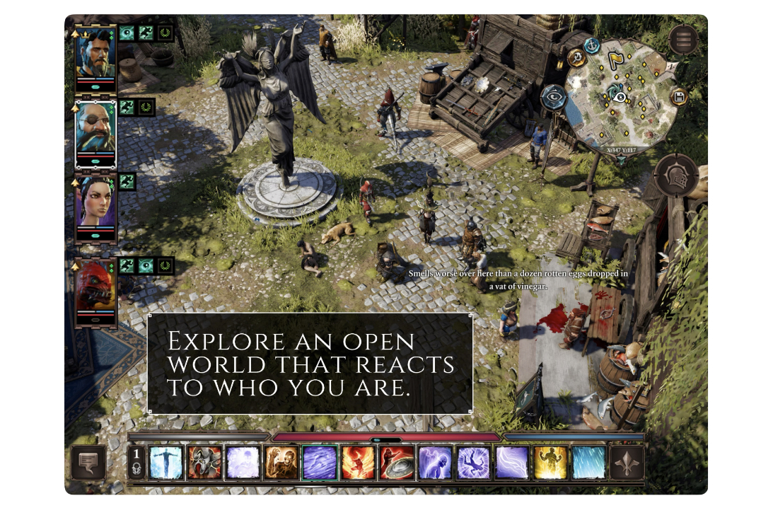 Divinity: Original Sin 2 iPad