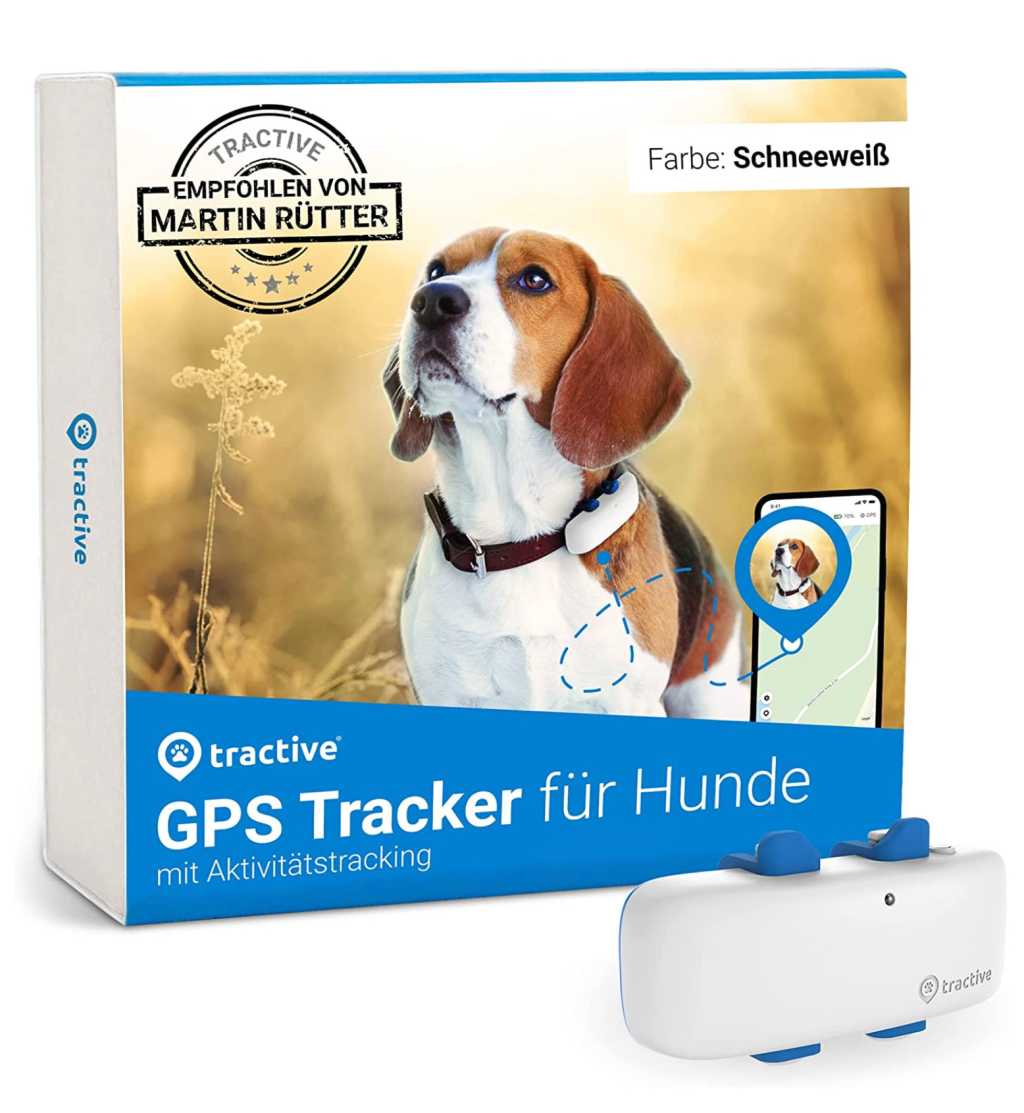 Image: Die besten GPS-Tracker fÃ¼r Hunde und Katzen im Vergleich