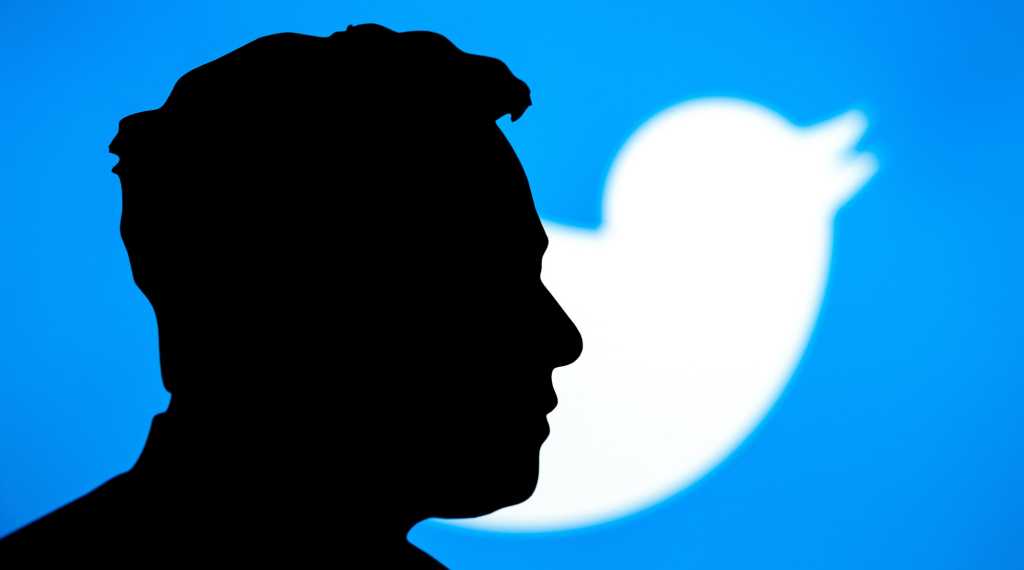 Image: Hier stimmen Sie darÃ¼ber ab, ob Elon Musk Twitter-Chef bleiben soll