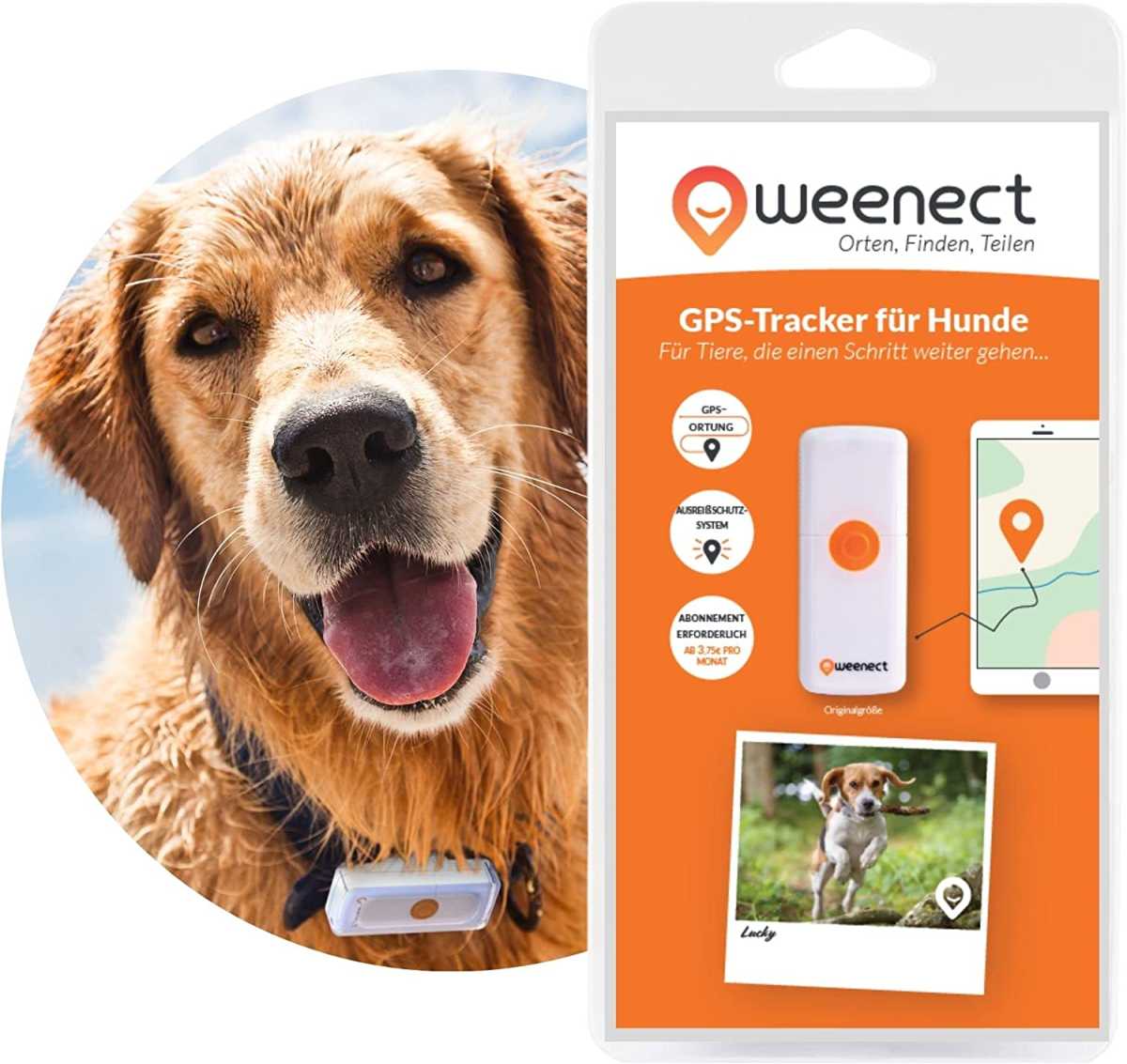GPS-Tracker für Hunde – Weenect