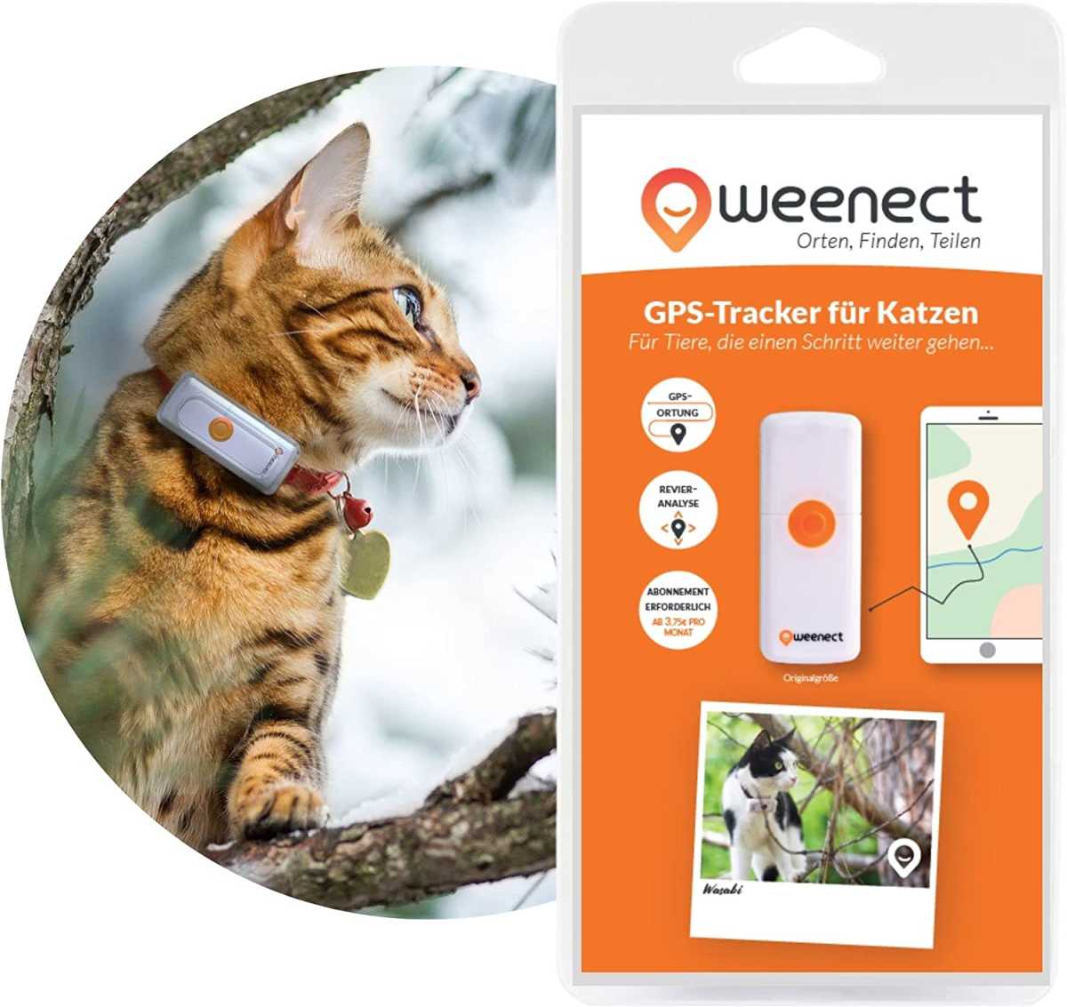 GPS-Tracker for Katzen – Weenect