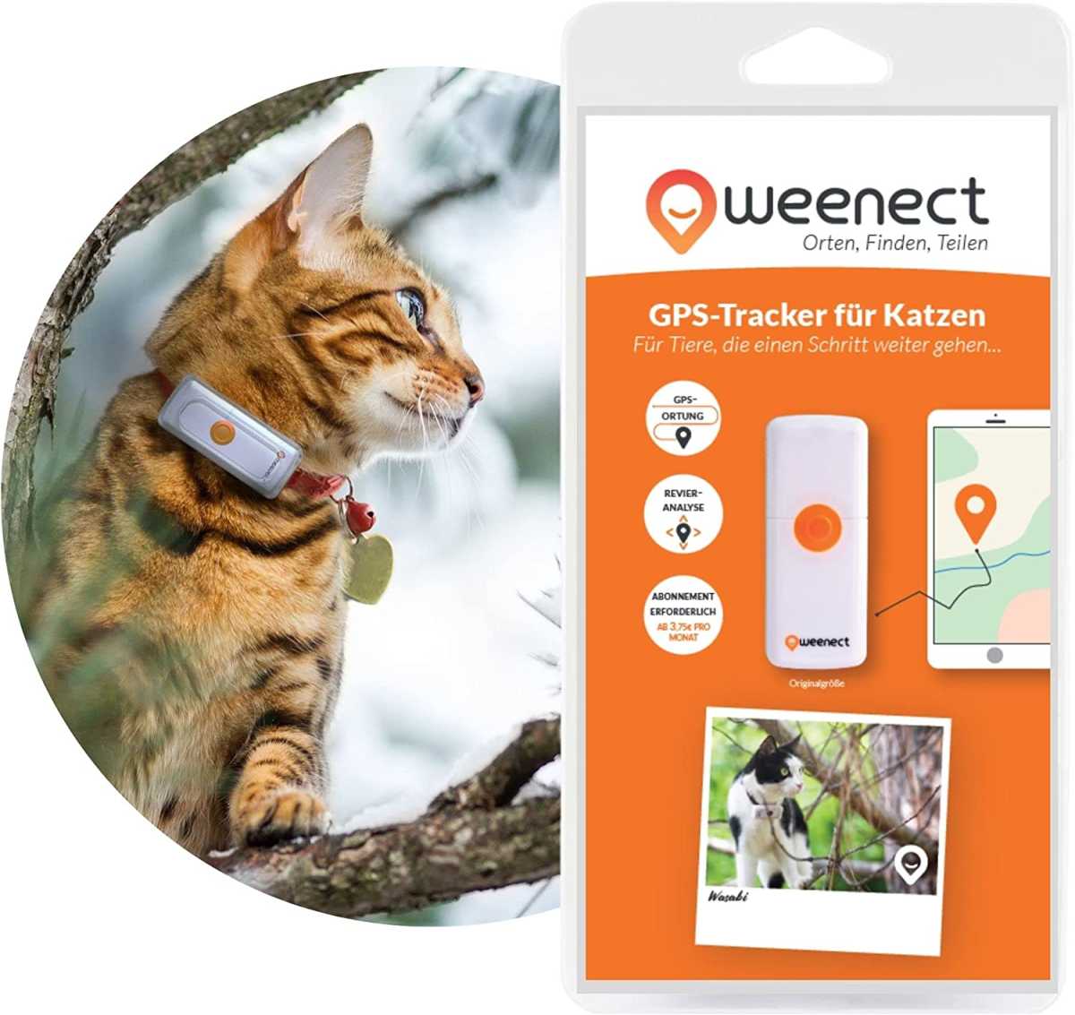 Produkt der Woche: GPS-Tracker für Hunde und Katzen von Tractive