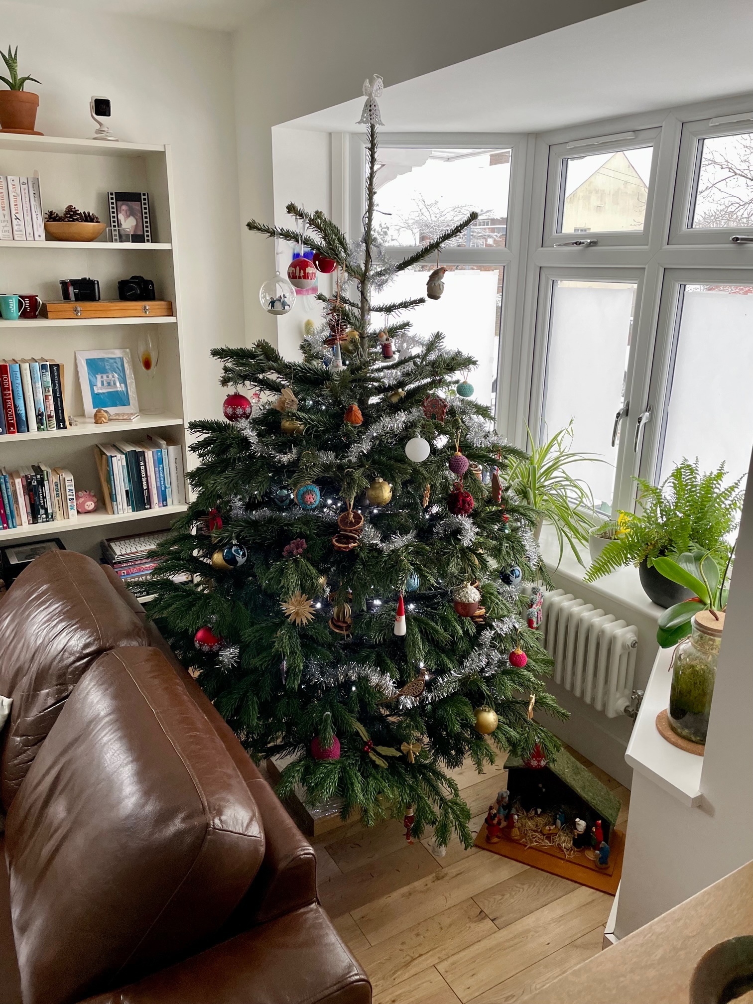 A basic photo of a Christmas tree in a living room