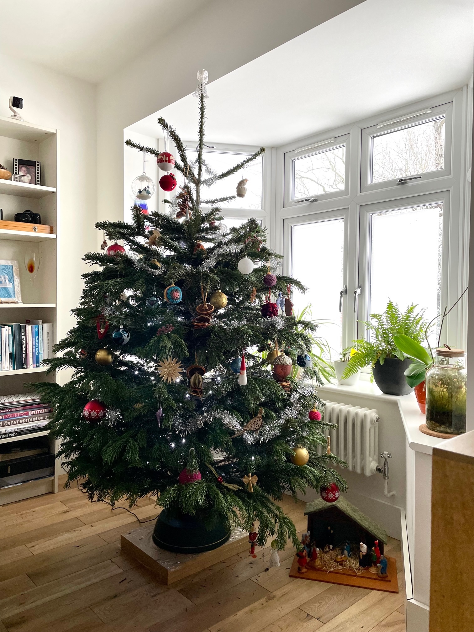 Eine bessere Aufnahme eines Weihnachtsbaums in einem Wohnzimmer