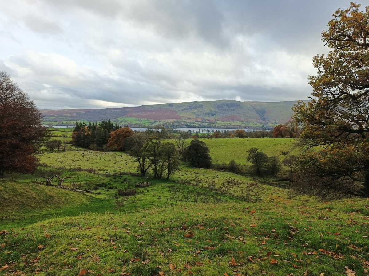 Lake District field and hills landscape shot 