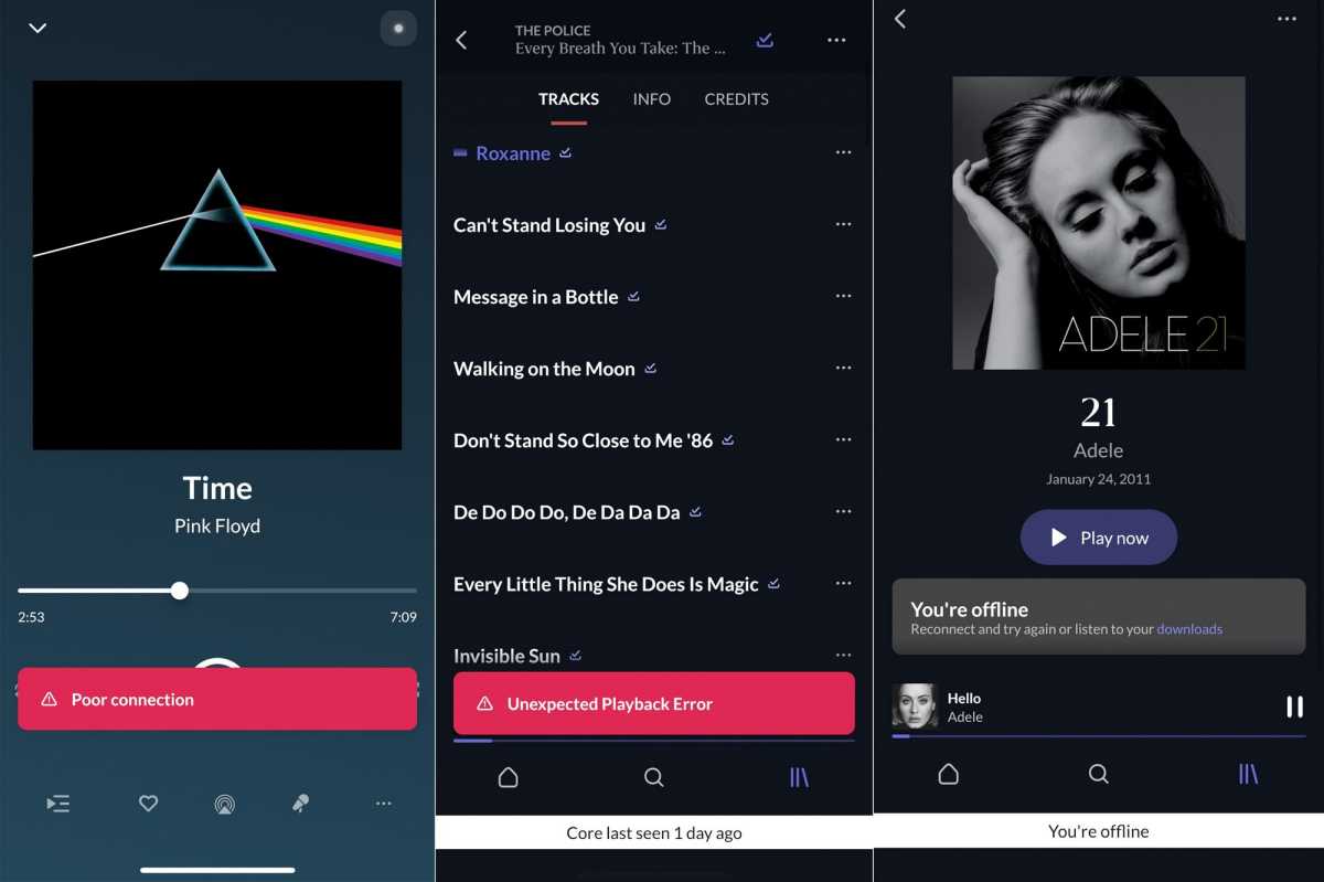 Roon Arc app screenshot Pink Floyd and Adele