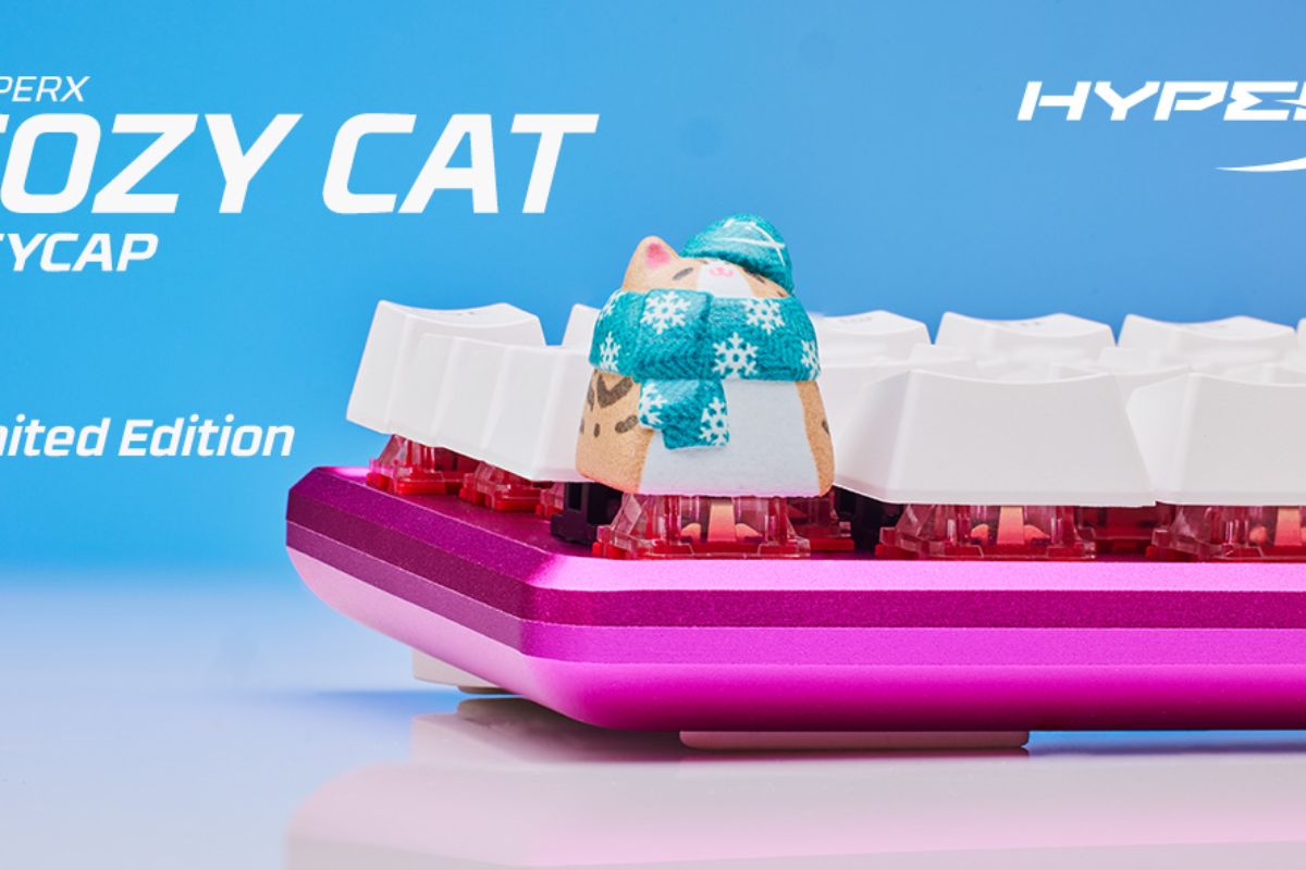 HP HyperX cozy cat