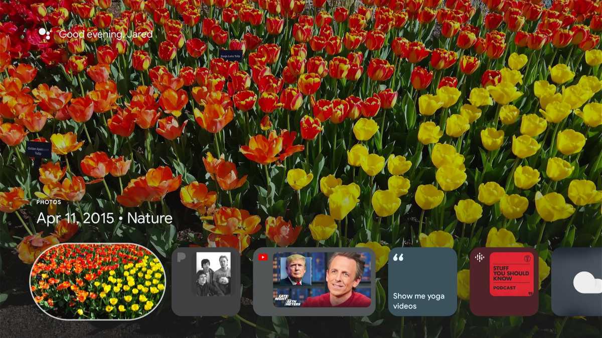 Ambient mode on Google TV, showing a flower photo.