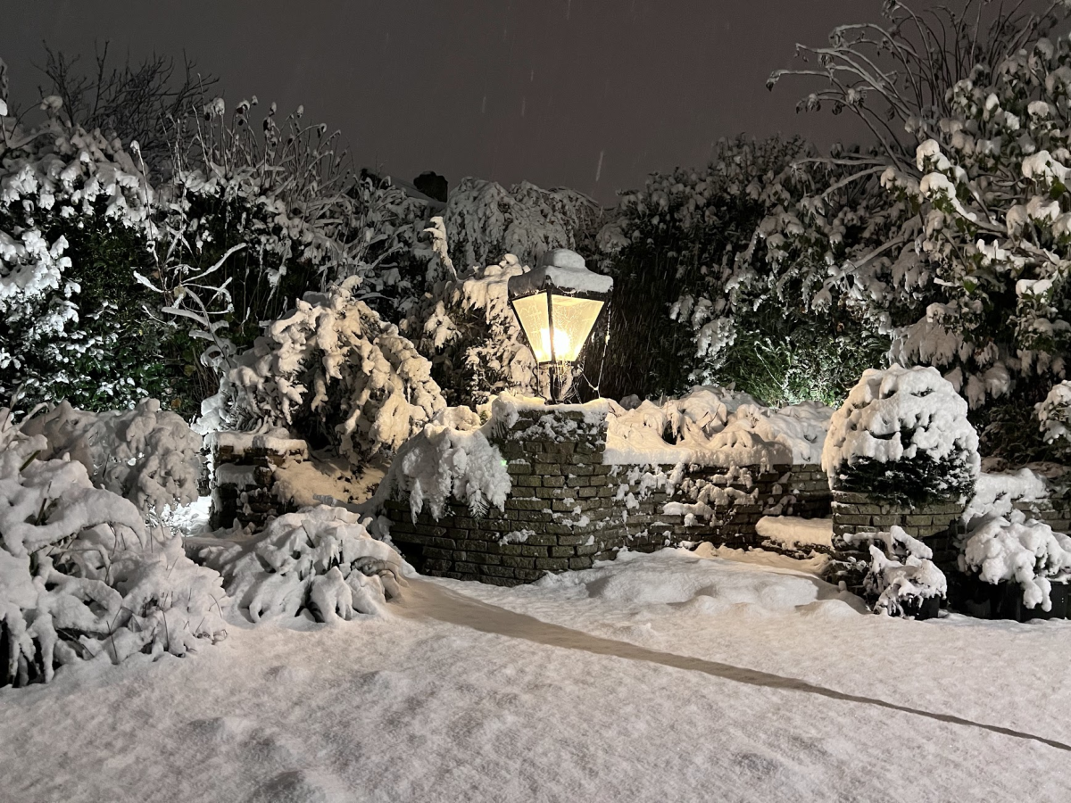 Night mode shot of a snowy outdoor scene with lamps