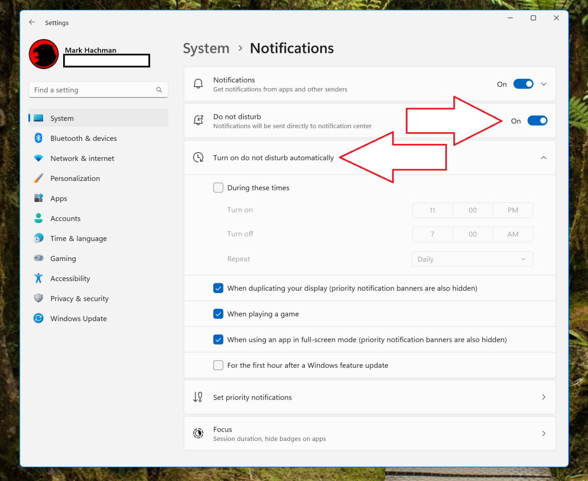 Windows 11 tips notifications