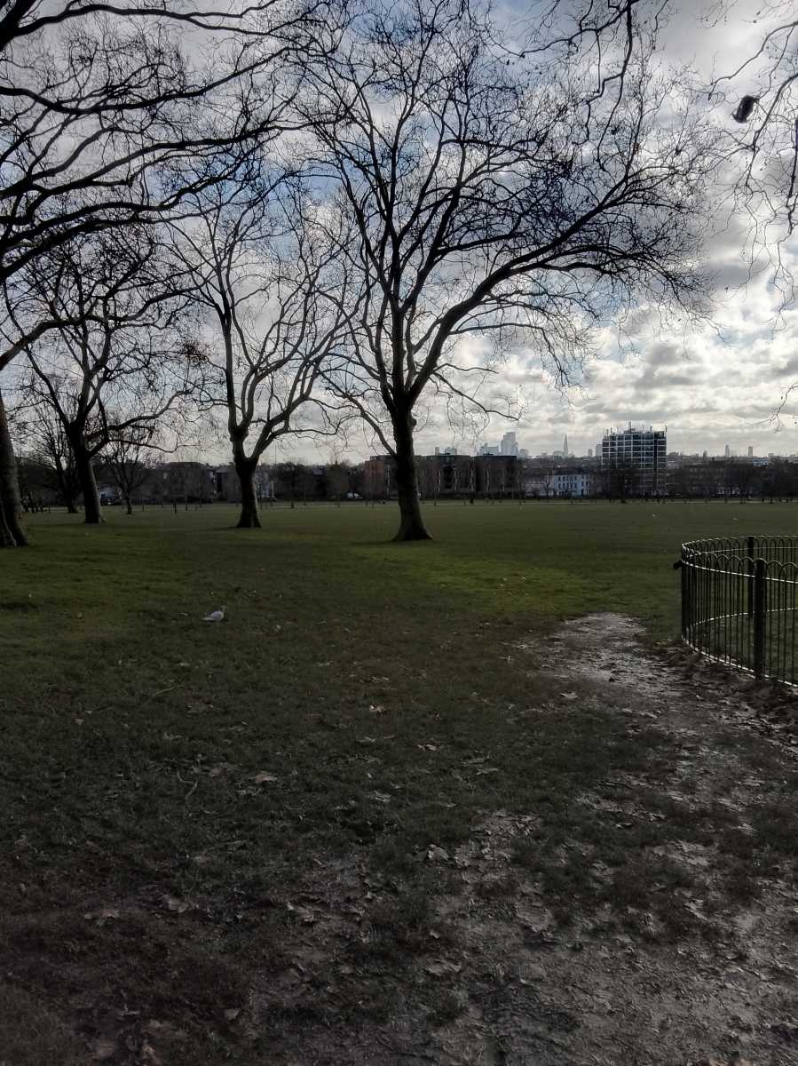 Picture of park in a city on a winter day