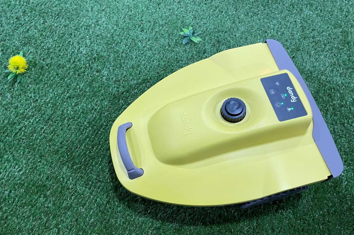 Dandy weed-killing robot