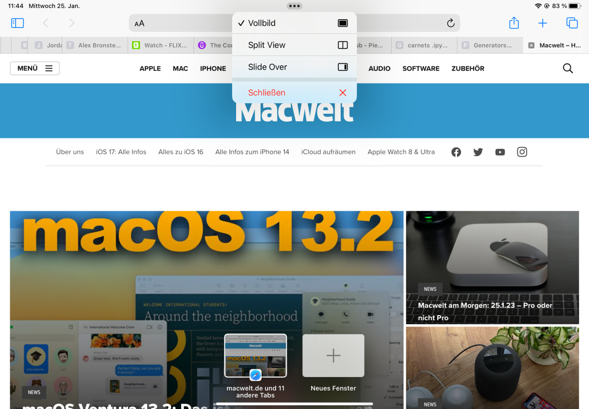 safari ipad 2 seiten gleichzeitig Split View im Menü auswählen