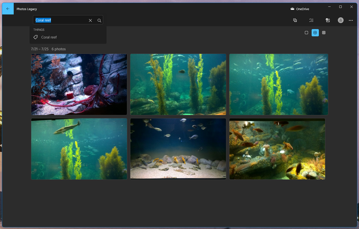 Microsoft Photos Legacy coral reef