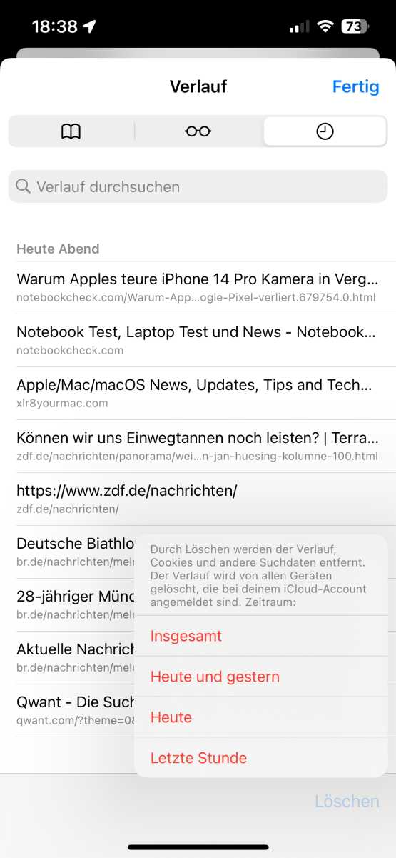 Safari-Verlauf auf dem iPhone löschen