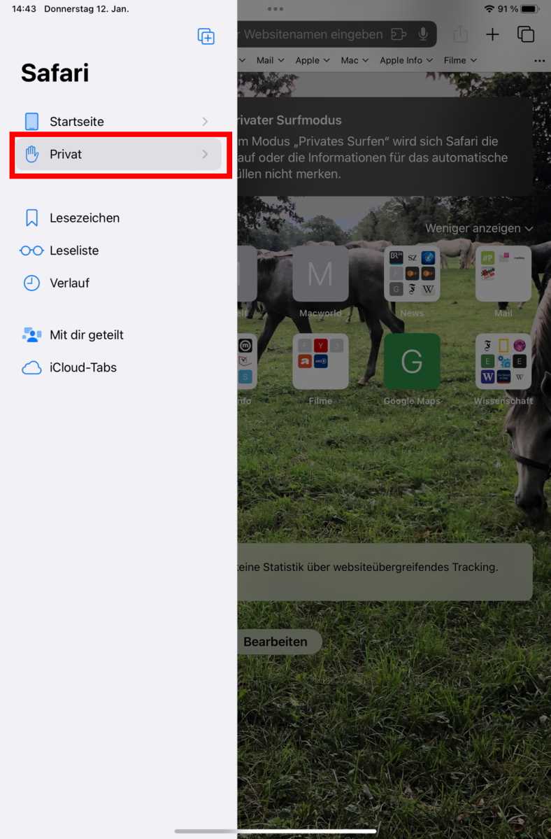 Privaten Modus auf dem iPad aktivieren