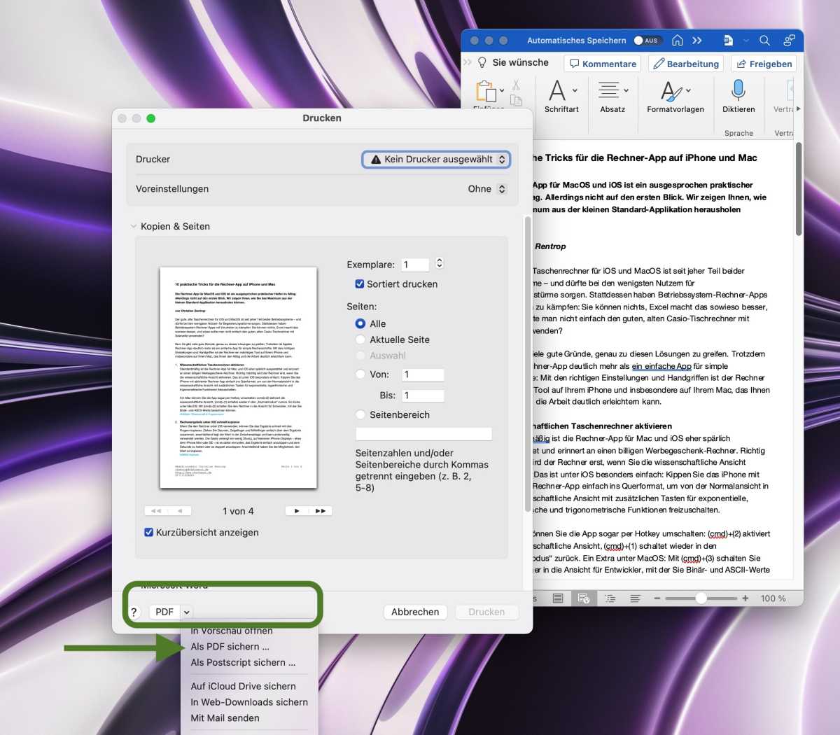 Word-Dokument als PDF über Druckdialog speichern