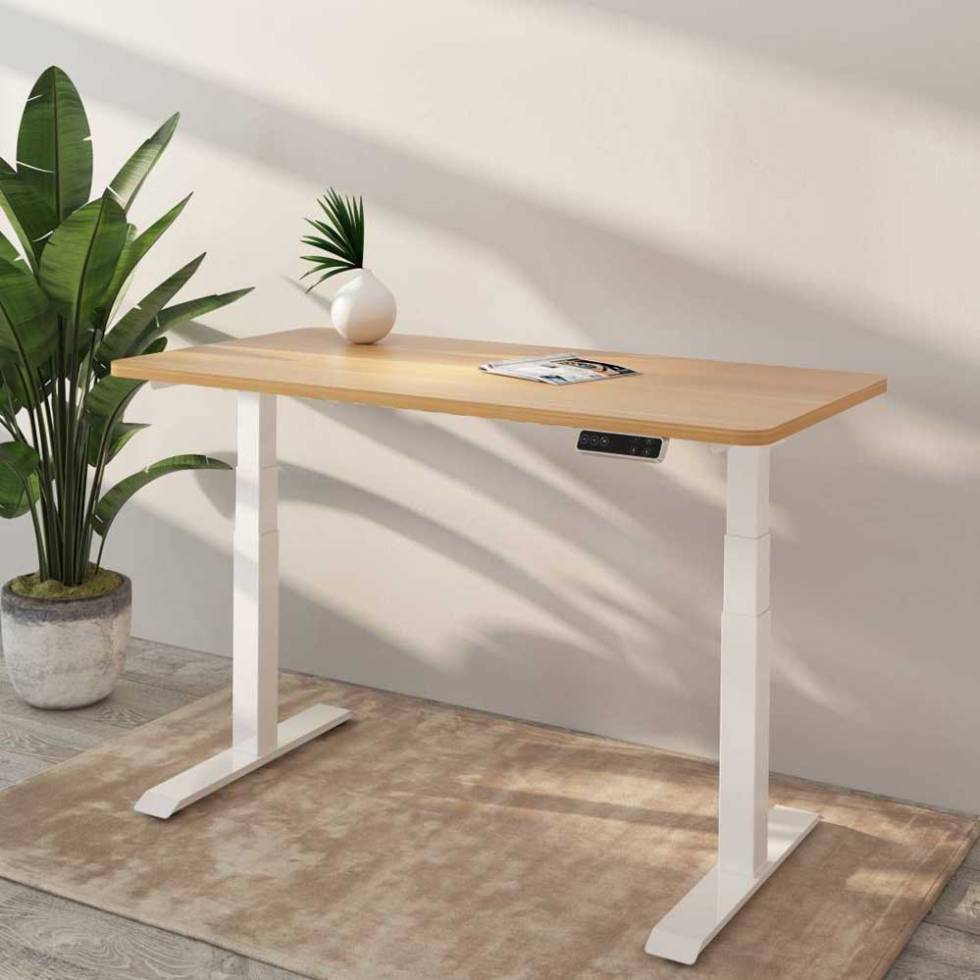 FlexiSpot E7 Standing Desk Review - Rapid Reviews UK