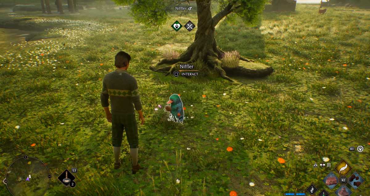 Offene Welten leben ja immer auch von ungeplanten Begegnungen. Hier freut sich ein putziger Niffler über einen Korb voller Beeren.
