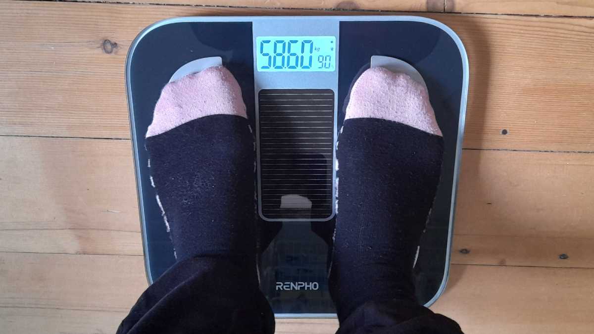 RENPHO Scale for Body Weight, Digital Weighing Elis 1 Scales with