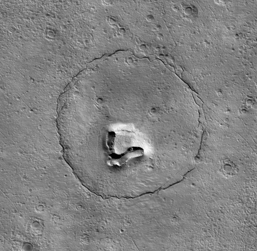 Image: NASA meldet den Fund eines âBÃ¤renâ auf dem Mars