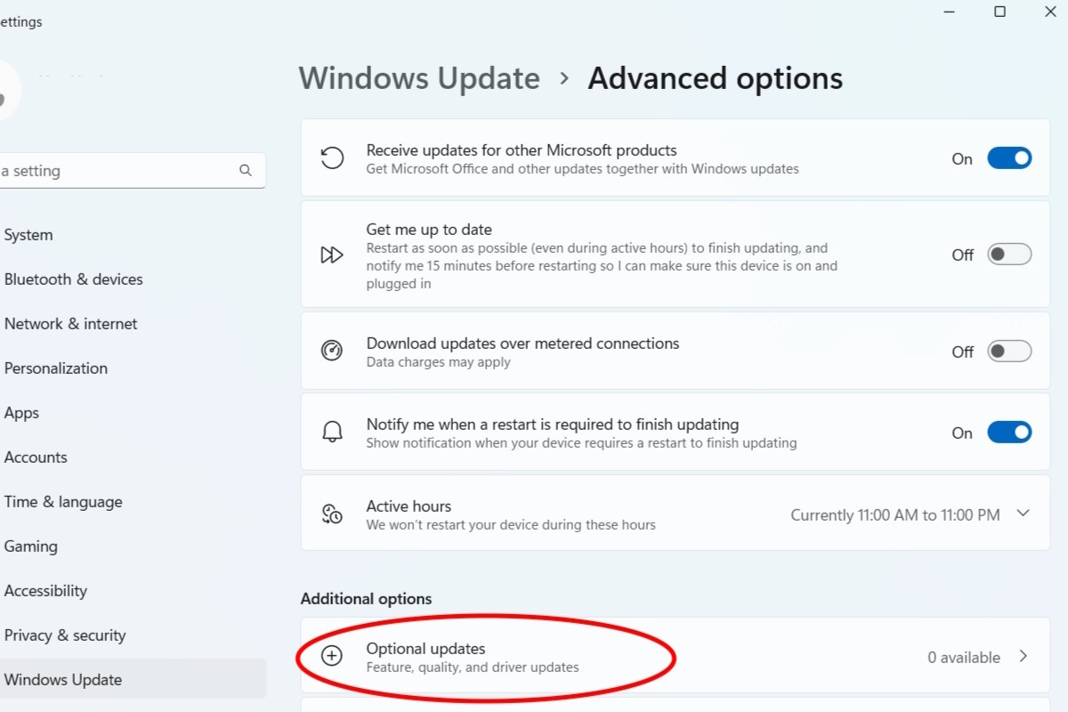 After you click Advanced options, you will see Optional updates under the Additional options section. Click through and select the updates you’d like to perform.