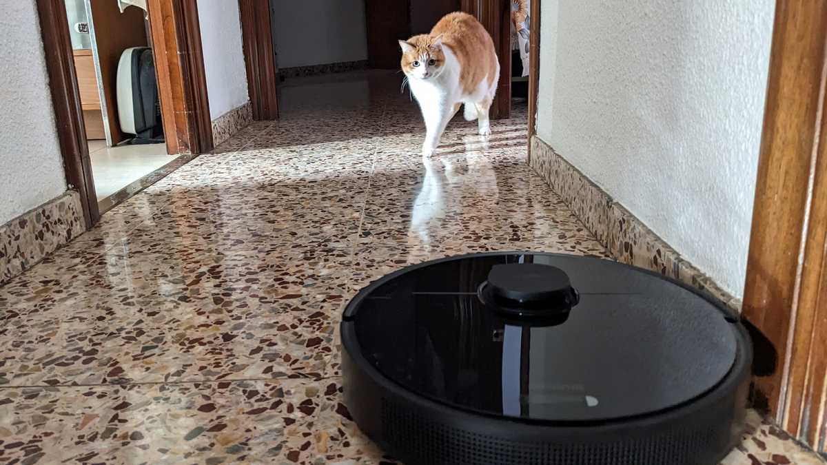 DreameBot D10s Pro con gato