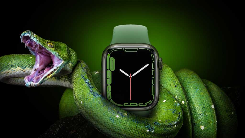 Image: GrÃ¼ne Schlange des Todes auf der Apple Watch wiederbeleben