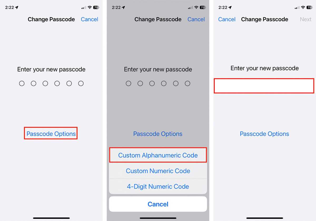 iOS 16 passcode options