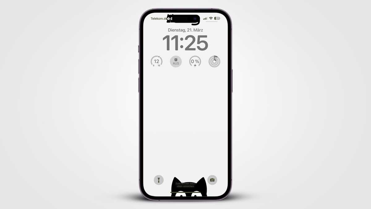 Katzen: Wallpaper für die Dynamic Island