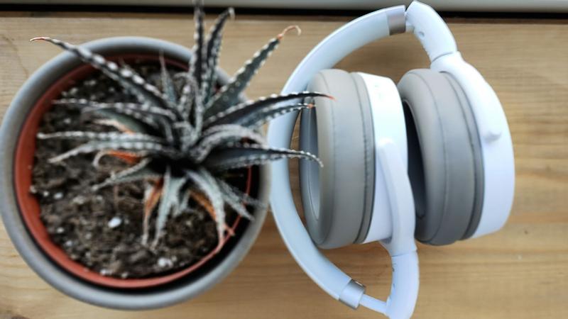Test hd 450bt best sale