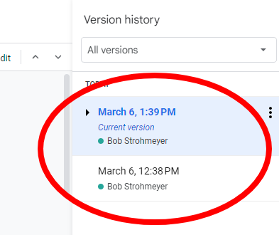 Google Docs Version Tracking