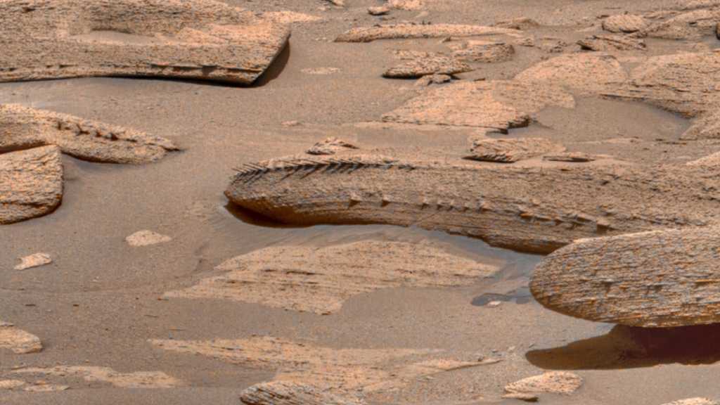 Image: Bizarre Entdeckung auf dem Mars: Knochen oder Stein?