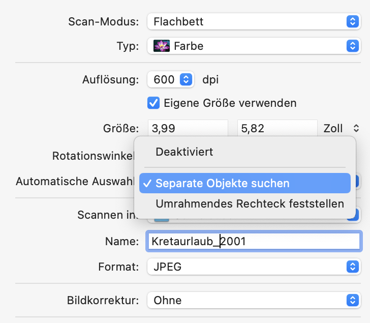 Wählen Sie Auflösung, Dateiformat und Ablageordner.