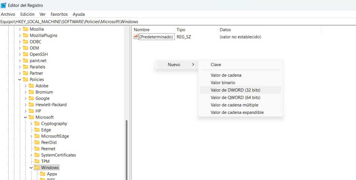 Windows 11 registro