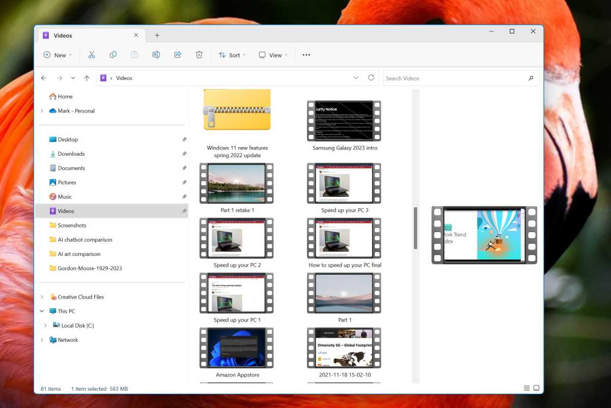 Video Windows 11 File Explorer