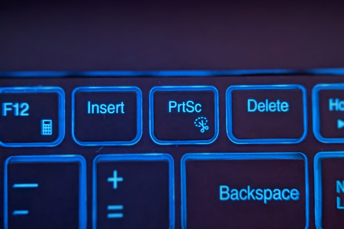 News How To Take A Screenshot On Your Windows 11 Laptop