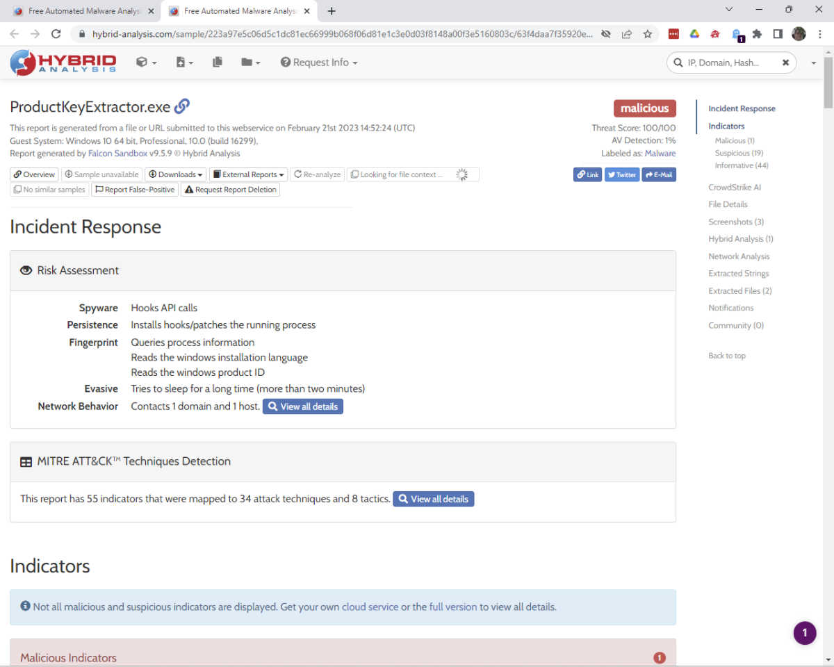 Nach dem Klick auf das Infofenster zu der Datei beziehungsweise Website öffnet Hybrid Analysis eine Seite mit detaillierten Analysedaten. Dort erfahren Sie unter anderem, welche Aktionen die Software in der Sandbox gestartet hat.