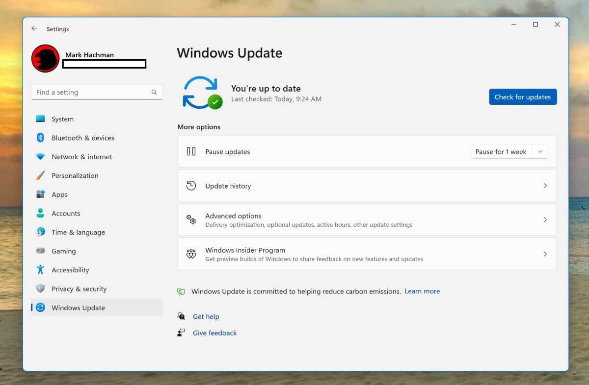 Windows 11 Windows Update