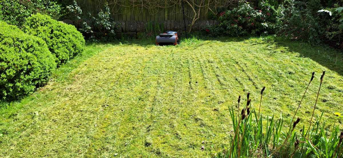 View of mown lawn by Segway Navimow