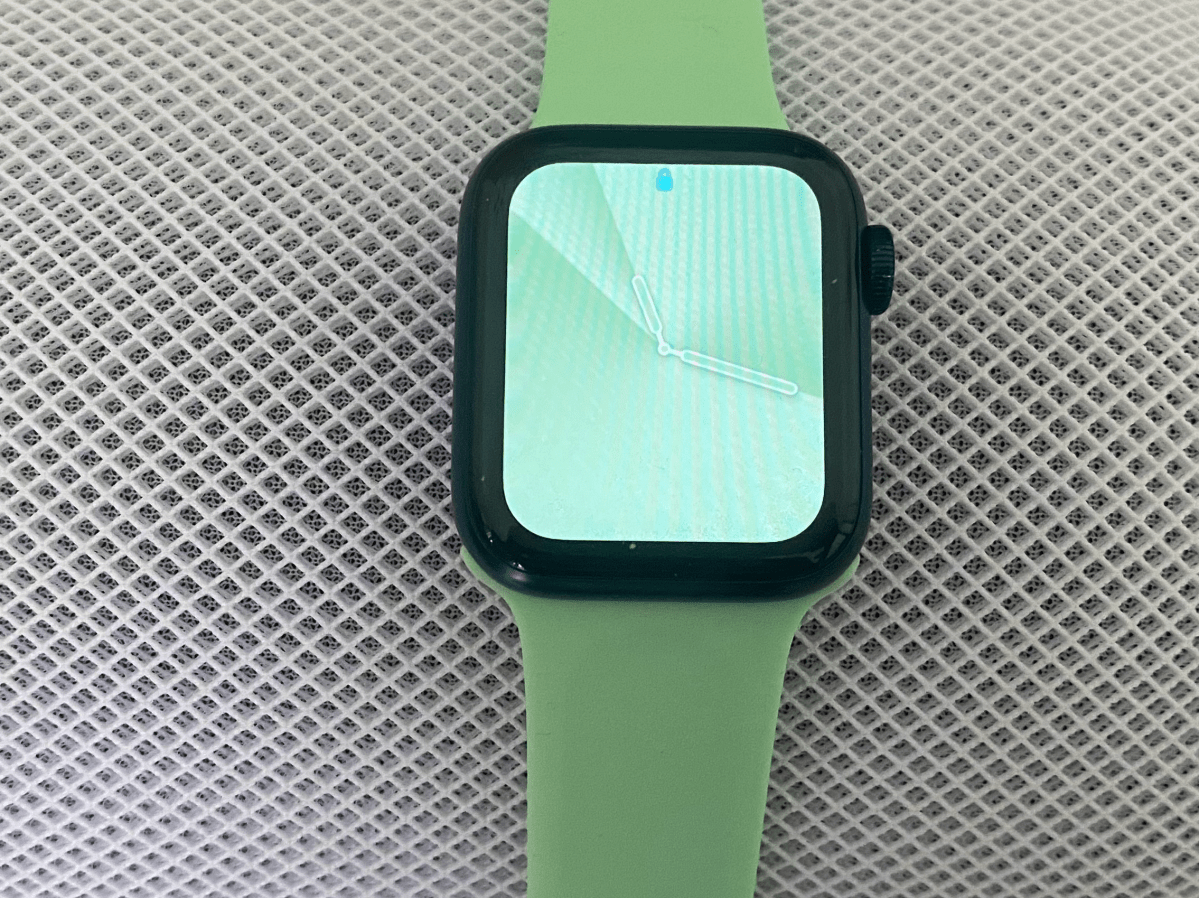 Apple Watch Armband Minzgrün