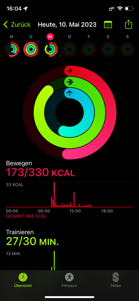 Bei Apple stehen Trainingsminuten, Aktivitätskalorien und Stehstunden im Vordergrund.