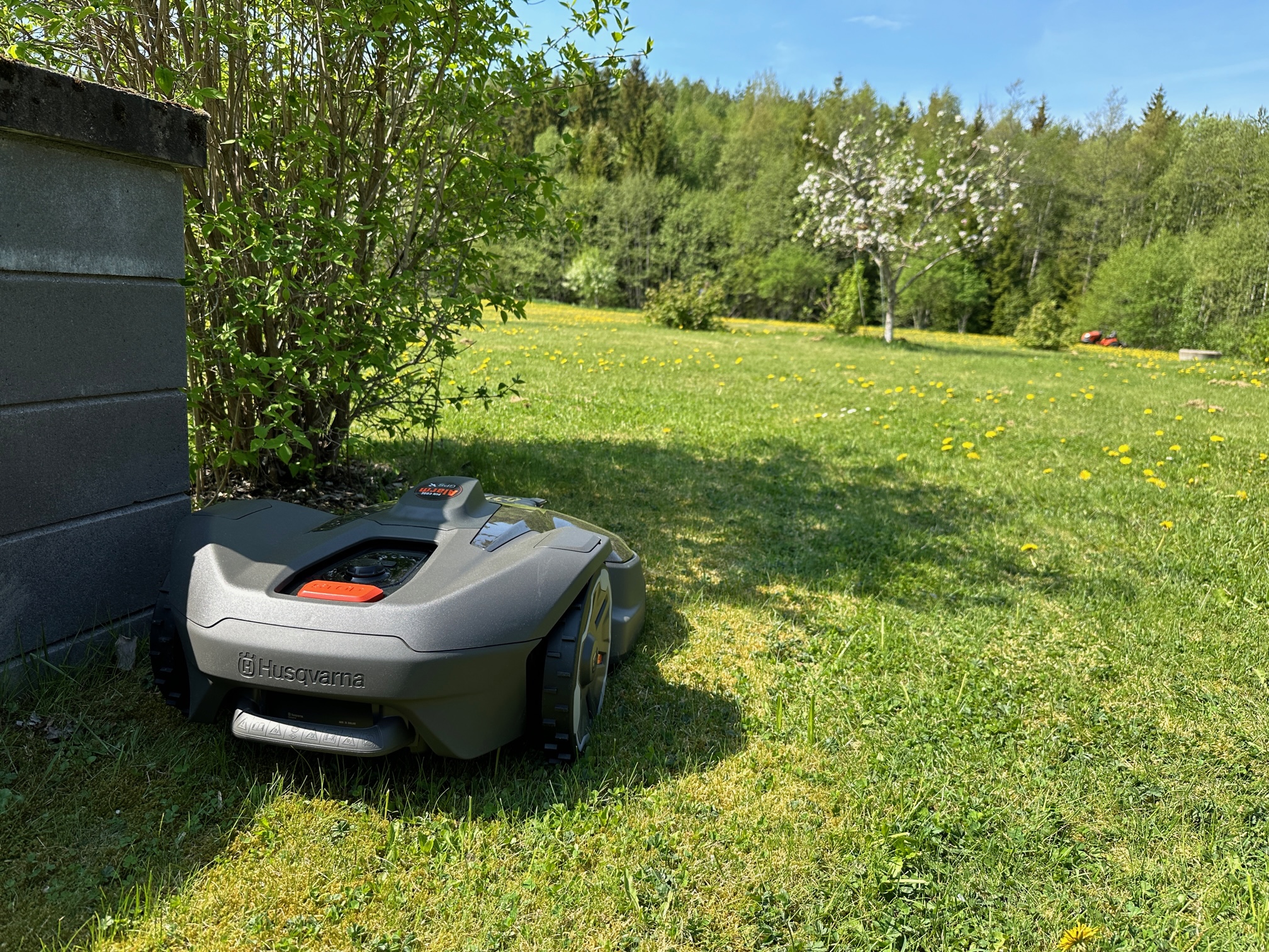 Husqvarna 430X Nera