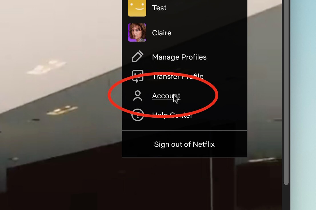 Netflix profiles and account link