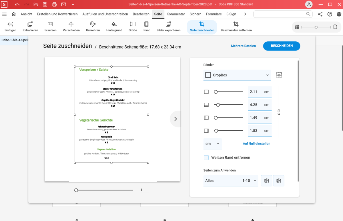 Der Menüpunkt „Seite“ bietet Ihnen verschiedene Optionen, mit denen Sie das Layout Ihrer PDFs beeinflussen. So lassen sich einzelne Seiten umstellen, mit einem neuen Hintergrund versehen und auch in der Größe ändern.
