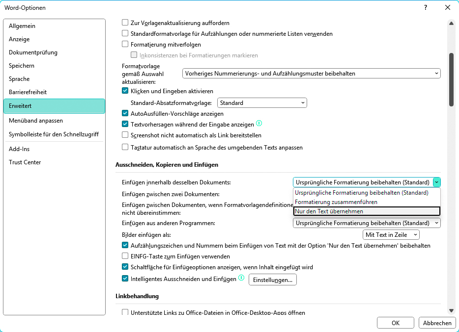 Word Optionen: Formatierung