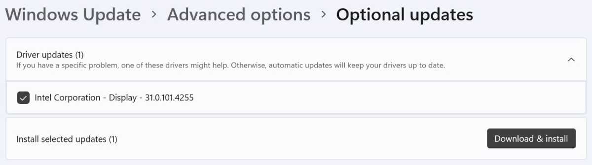 Windows 11 Optional updates screen
