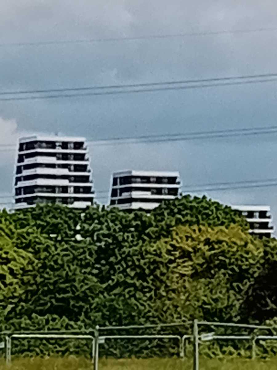 Walthamstow flats zoomed in