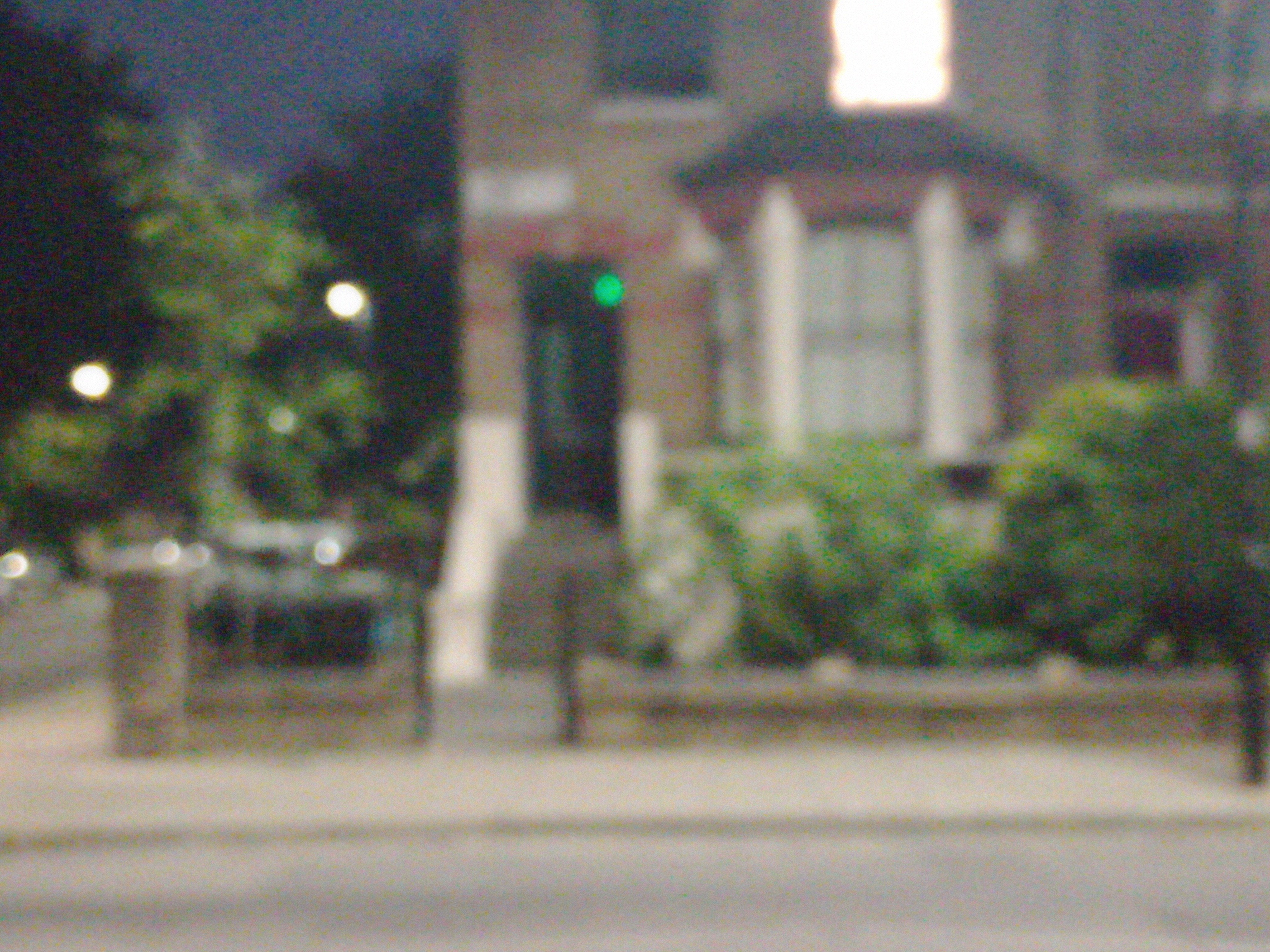 Foto hecha con la lente principal en zoom x2 de noche del TCL 40 SE