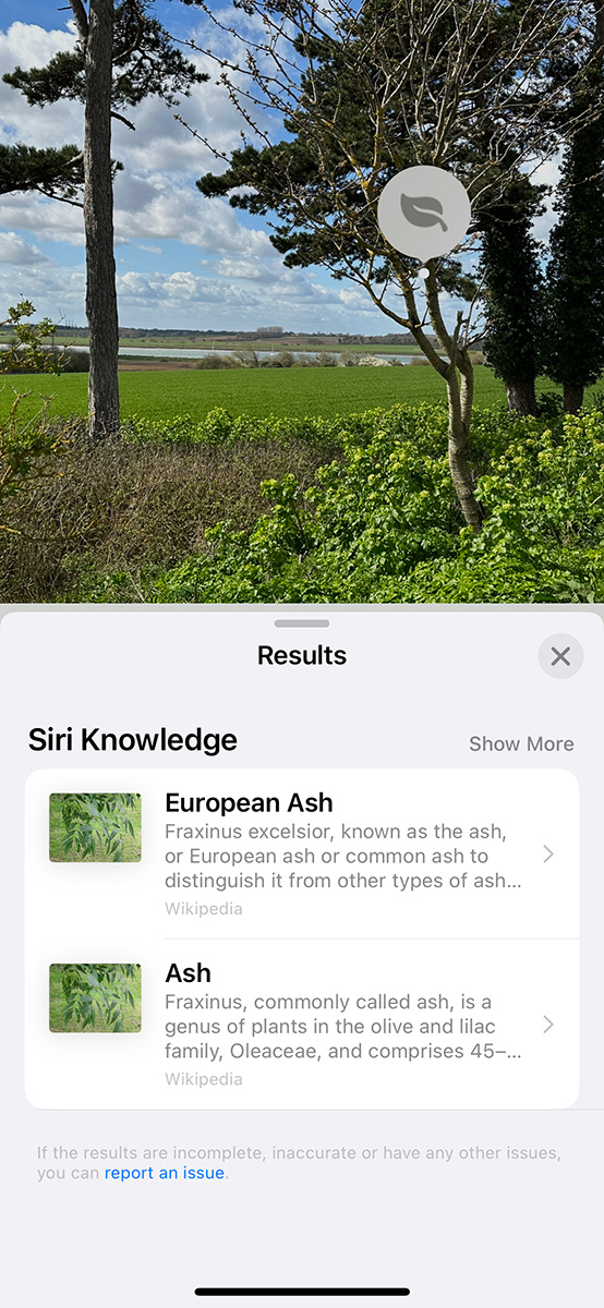 Visual Search in iOS 16